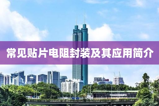 短裙杀 第18页