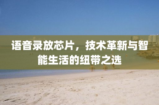 语音录放芯片，技术革新与智能生活的纽带之选