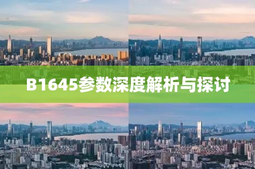 B1645参数深度解析与探讨