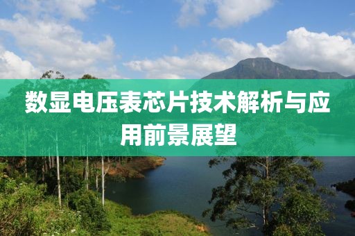 数显电压表芯片技术解析与应用前景展望