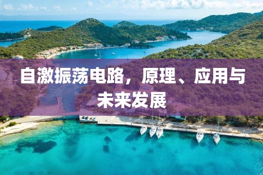 自激振荡电路，原理、应用与未来发展