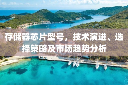 存储器芯片型号，技术演进、选择策略及市场趋势分析
