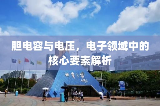 胆电容与电压，电子领域中的核心要素解析