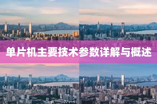 单片机主要技术参数详解与概述