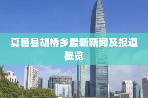 夏邑县胡桥乡最新新闻及报道概览