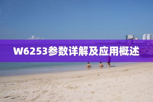 W6253参数详解及应用概述