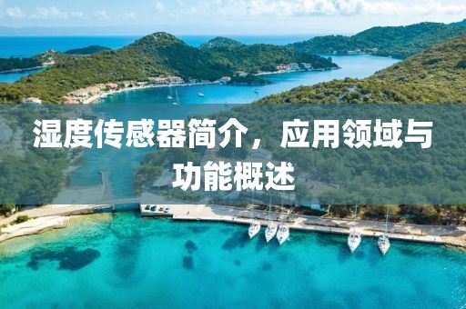 湿度传感器简介，应用领域与功能概述