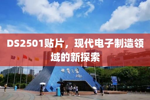 DS2501贴片，现代电子制造领域的新探索