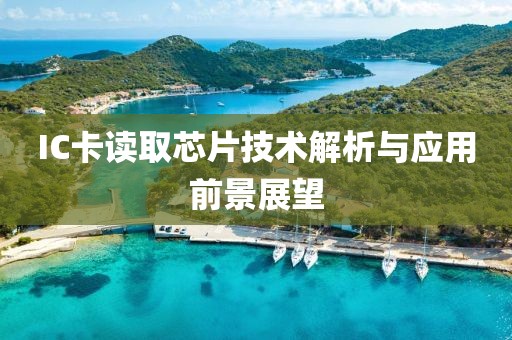 IC卡读取芯片技术解析与应用前景展望