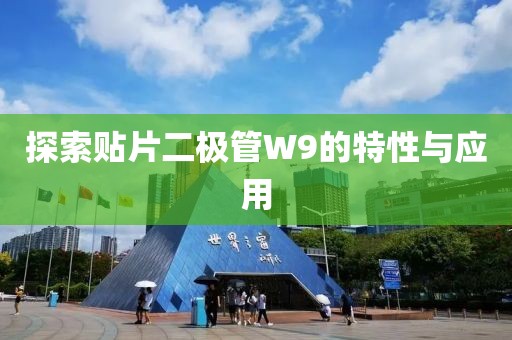 探索贴片二极管W9的特性与应用