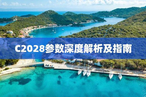 C2028参数深度解析及指南