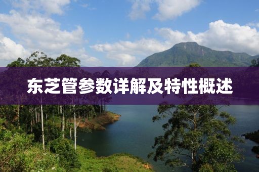 东芝管参数详解及特性概述