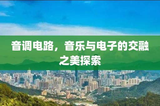 音调电路，音乐与电子的交融之美探索