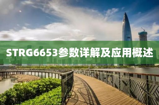 STRG6653参数详解及应用概述