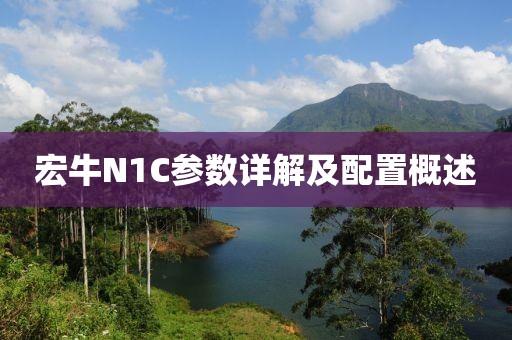 宏牛N1C参数详解及配置概述