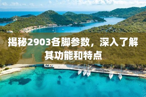 揭秘2903各脚参数，深入了解其功能和特点