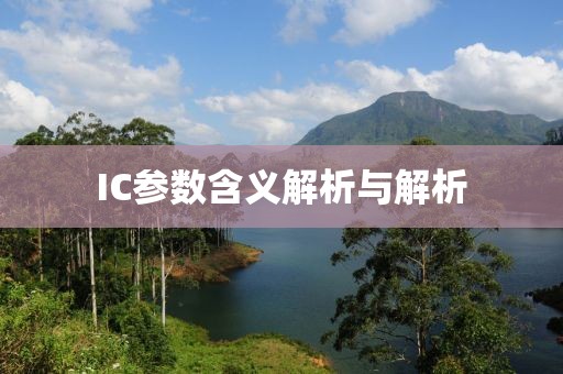IC参数含义解析与解析