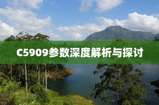 C5909参数深度解析与探讨