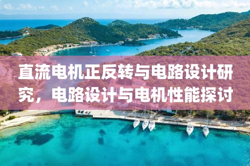 直流电机正反转与电路设计研究，电路设计与电机性能探讨