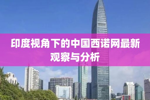 印度视角下的中国西诺网最新观察与分析
