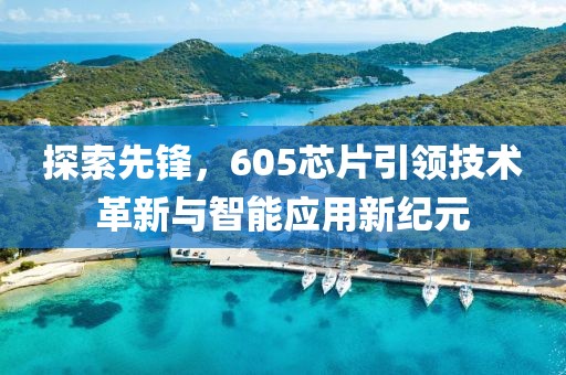 探索先锋，605芯片引领技术革新与智能应用新纪元