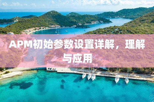 APM初始参数设置详解，理解与应用