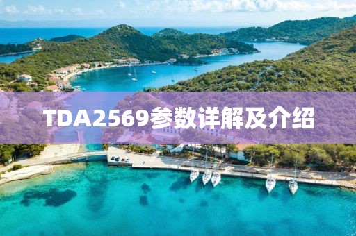 TDA2569参数详解及介绍