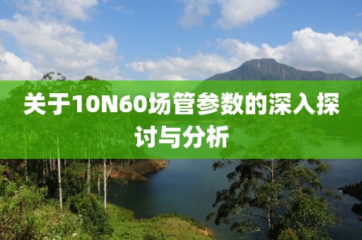 关于10N60场管参数的深入探讨与分析