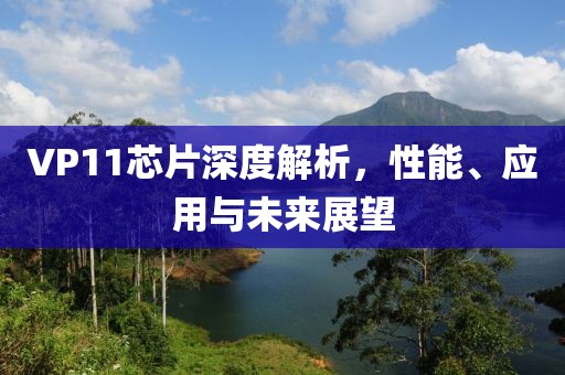 VP11芯片深度解析，性能、应用与未来展望