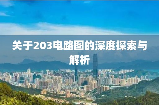 关于203电路图的深度探索与解析