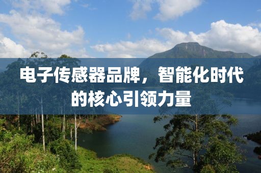 电子传感器品牌，智能化时代的核心引领力量