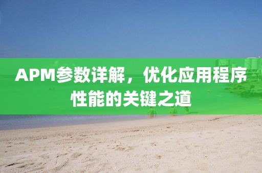 APM参数详解，优化应用程序性能的关键之道
