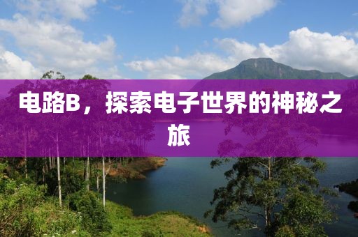 电路B，探索电子世界的神秘之旅