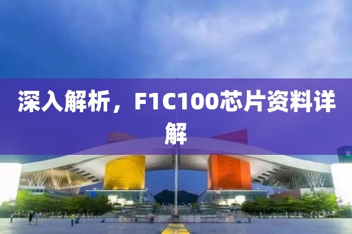 深入解析，F1C100芯片资料详解