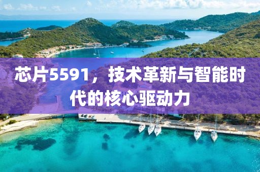 芯片5591，技术革新与智能时代的核心驱动力