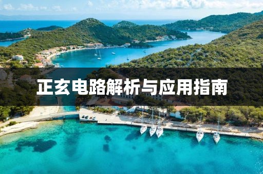 正玄电路解析与应用指南