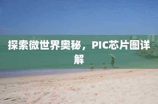 探索微世界奥秘，PIC芯片图详解