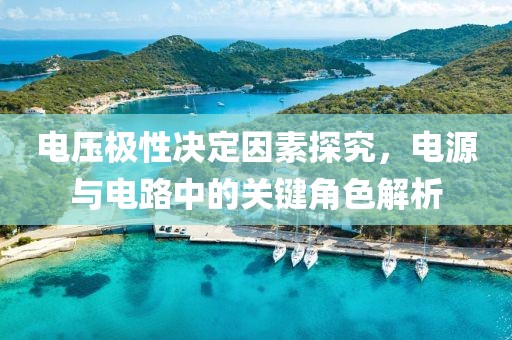 电压极性决定因素探究，电源与电路中的关键角色解析