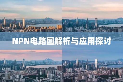 NPN电路图解析与应用探讨