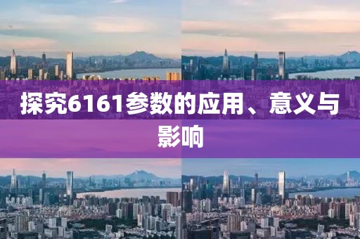 探究6161参数的应用、意义与影响