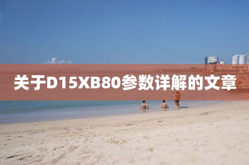 关于D15XB80参数详解的文章