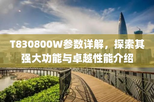 T830800W参数详解，探索其强大功能与卓越性能介绍