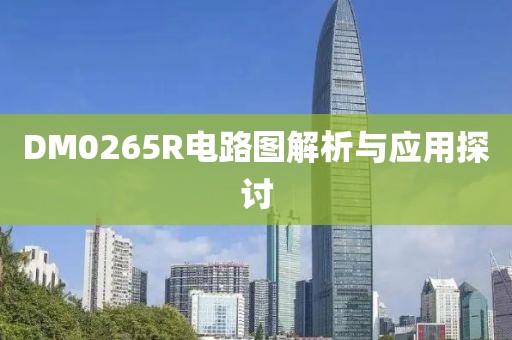 DM0265R电路图解析与应用探讨