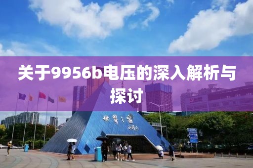 关于9956b电压的深入解析与探讨