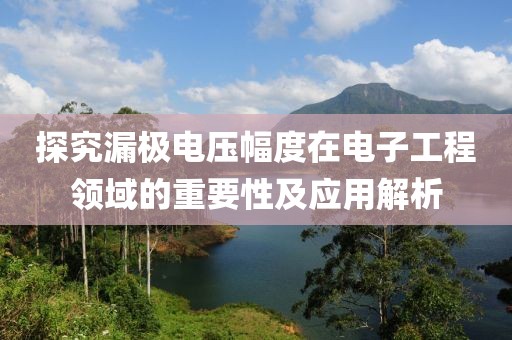 探究漏极电压幅度在电子工程领域的重要性及应用解析