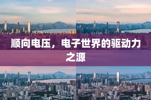 2025年2月 第17页