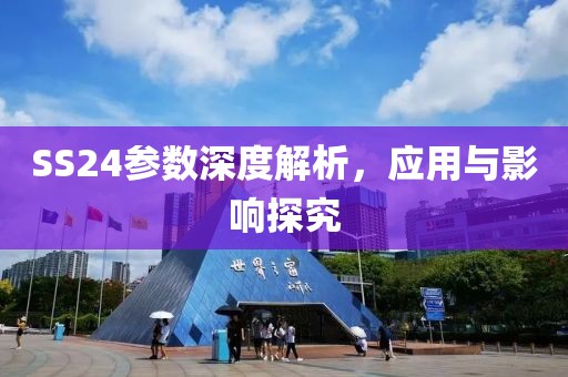 SS24参数深度解析，应用与影响探究