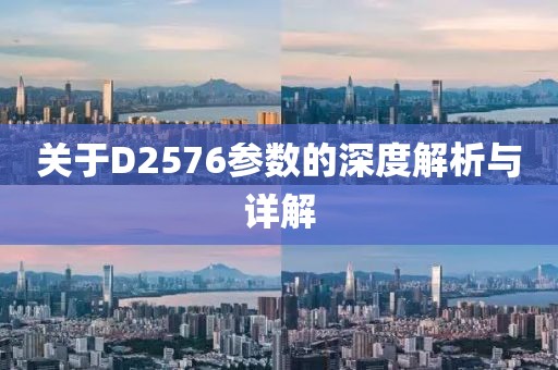 关于D2576参数的深度解析与详解