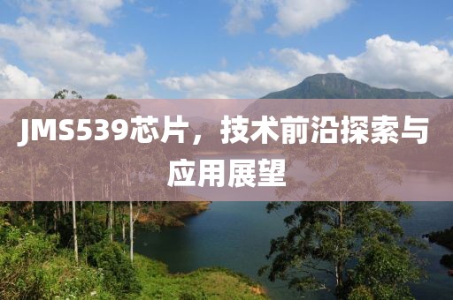 JMS539芯片，技术前沿探索与应用展望