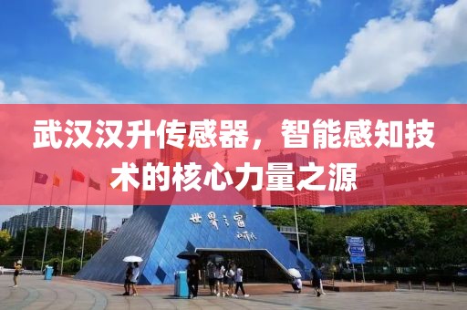 武汉汉升传感器，智能感知技术的核心力量之源